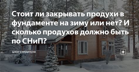 Защита полостранства: выбираем между закрытием и незакрытием продухов на зиму