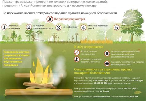 Защитные меры от пожара при посещении леса