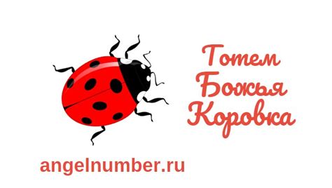 Знаки судьбы: божья коровка