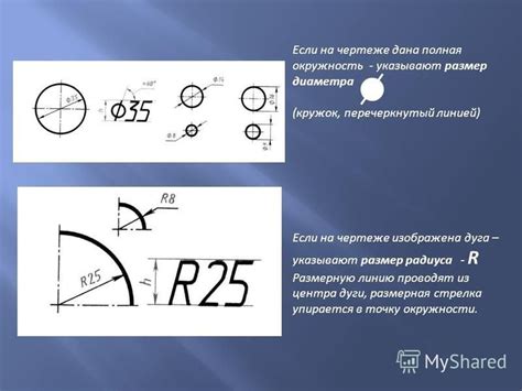 Знак радиуса в медицине и физической терапии: