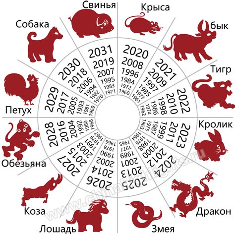 Значение года земляной желтой собаки в китайском календаре