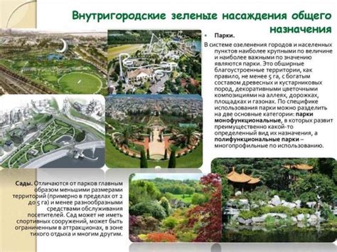 Значение зеленых зон в городской застройке