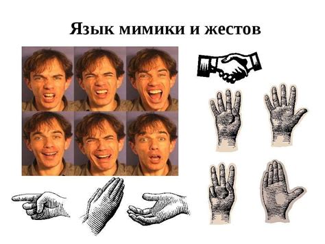 Значение мимики и жестов