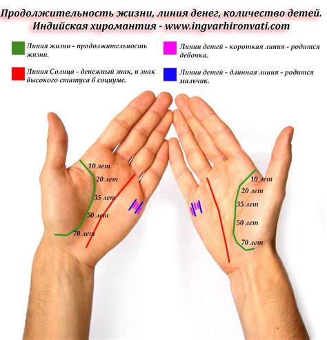 Значение многочисленных линий на руке