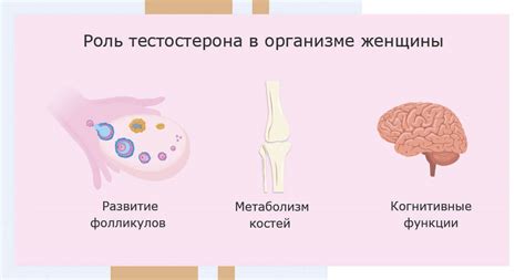 Значение уровня прогестерона