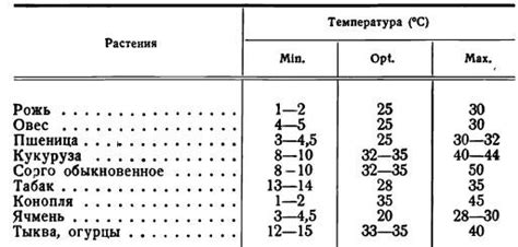 Значимость температуры почвы при подготовке к высадке груши