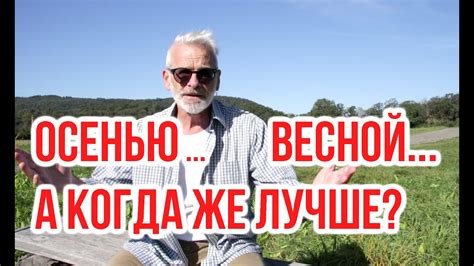 Идеальное время для саженцев березы: