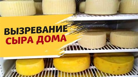 Идеальные условия для созревания