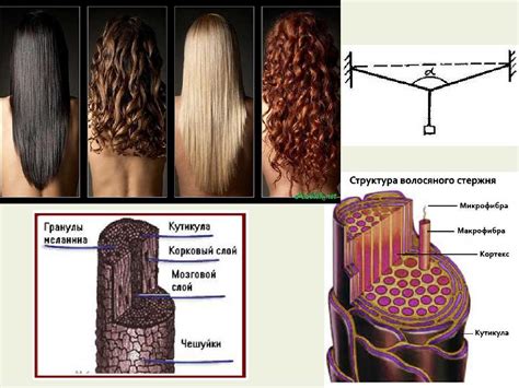 Изменение структуры волос