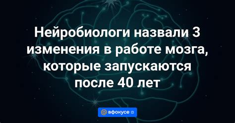 Изменения в работе мозга при влюбленности