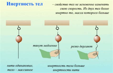 Инертность тела: основные принципы и свойства