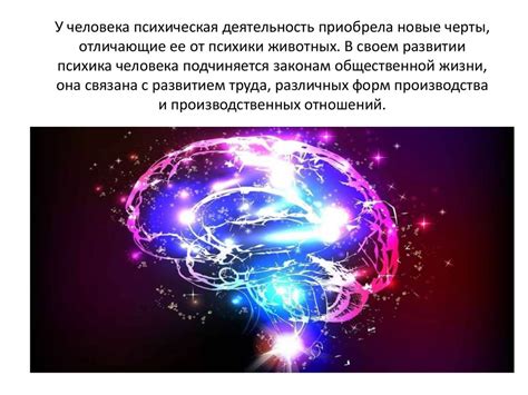 Интересные факты: что еще известно о взаимодействии мозга и ног