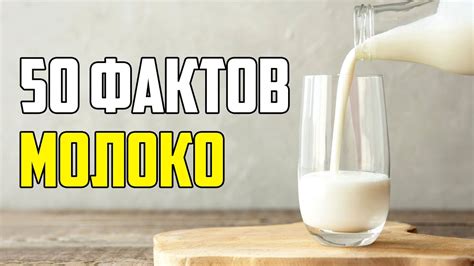 Интересные факты о бидонах и молоке