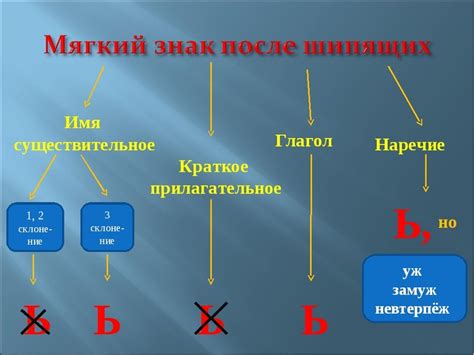 Исключения из правила написания мягкого знака в окончаниях глаголов