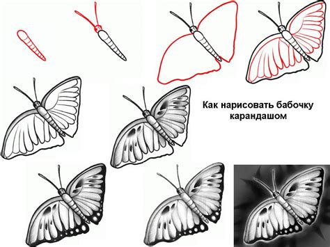 Искусство рисования бабочек: техника и смысл