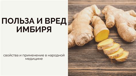 Использование имбиря в кулинарии и народной медицине