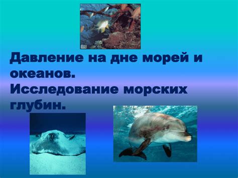 Исследование морей и океанов