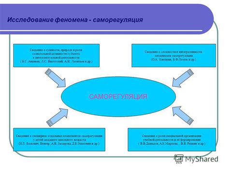 Исследование феномена ночной активности