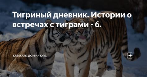 Истории о встречах с тиграми