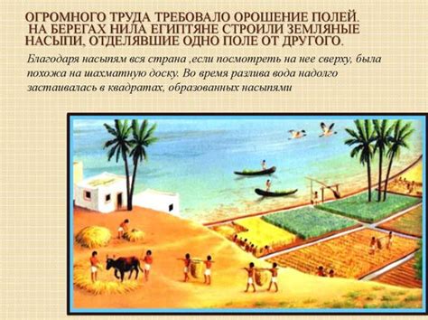 История и методы освобождения полей от воды в Древнем Египте