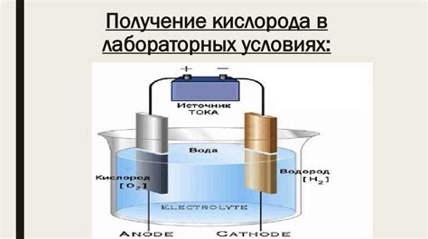 История открытия кислорода и его существование