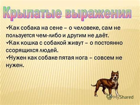 История происхождения популярного выражения