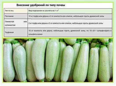 Кабачок: преимущества и недостатки