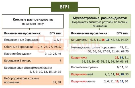 Какие варианты лечения доступны для ВПЧ?