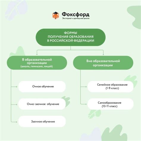 Какие возможности есть для получения юридического образования?