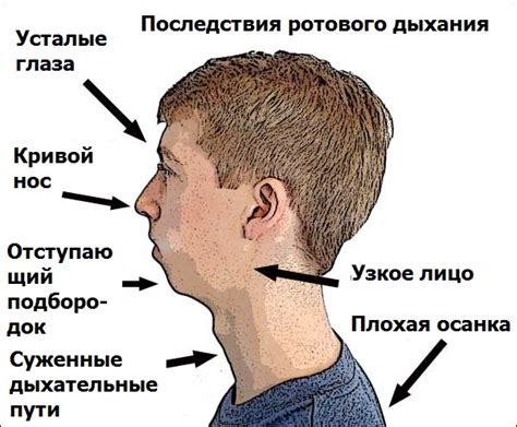 Какие изменения происходят с носом при дыхании