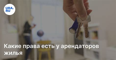 Какие права у арендаторов съемной квартиры?