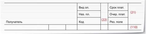 Какие проблемы могут возникнуть при неправильном уходе за лапами и когтями?