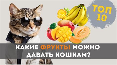 Какие фрукты давать первыми?