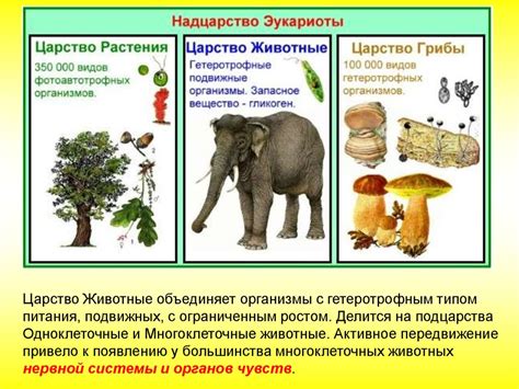 Каковы последствия для живых организмов на Земле?