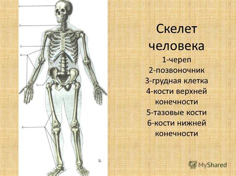 Какое значение имеет прозвище "малая"?