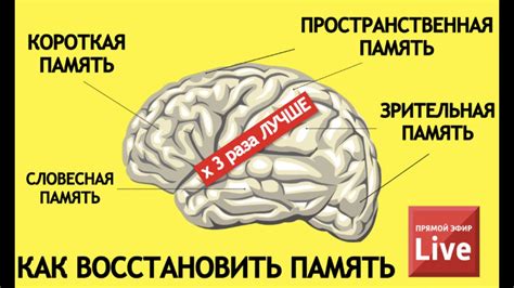 Как восстановить память: эффективные методы