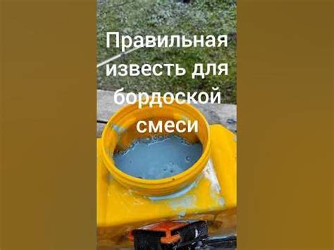 Как выбрать подходящую известь