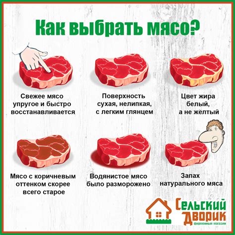 Как готовить мясо курицы для кормления котят: рекомендации экспертов