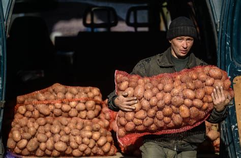 Как картошка попала в Россию