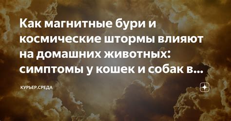 Как магнитные бури влияют на животных?