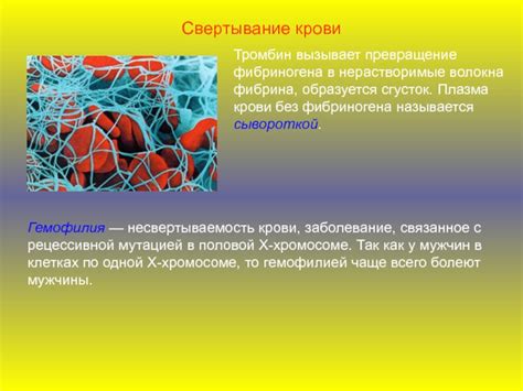 Как образуется сгусток