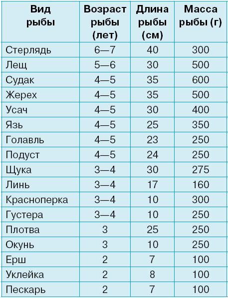 Как определить год рыбы?