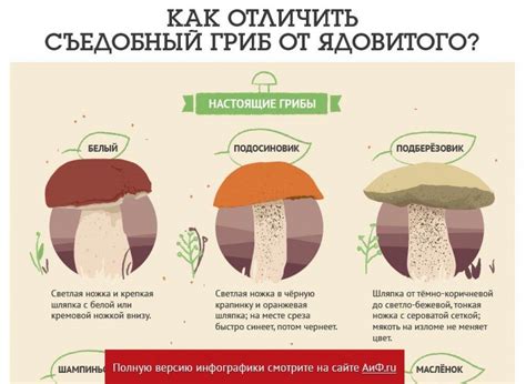 Как отличить яблоко съедобное от несъедобного?