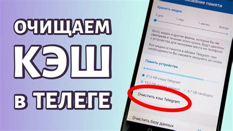 Как очистить кэш в Телеграмме на iOS?