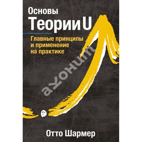 Как перейти от теории к практике: главные основы и советы