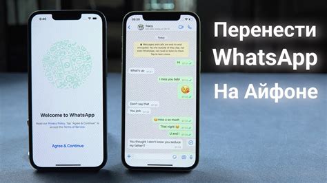 Как перенести WhatsApp с iPhone на iPhone