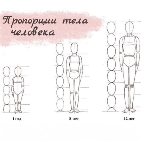 Как повысить рост и улучшить пропорции тела