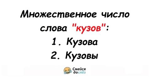 Как правильно использовать "does" во множественном числе