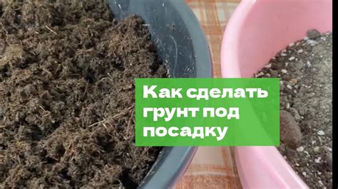 Как правильно приготовить почву для посадки семян?