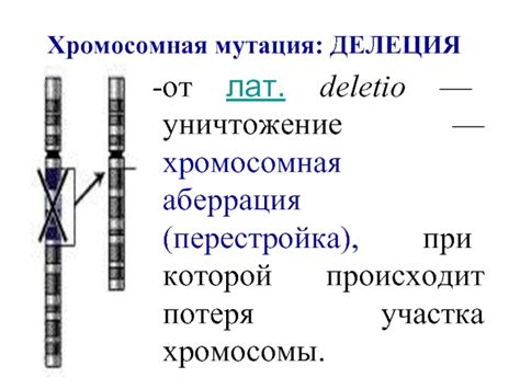 Как происходит хромосомная мутация